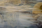 ilustracija